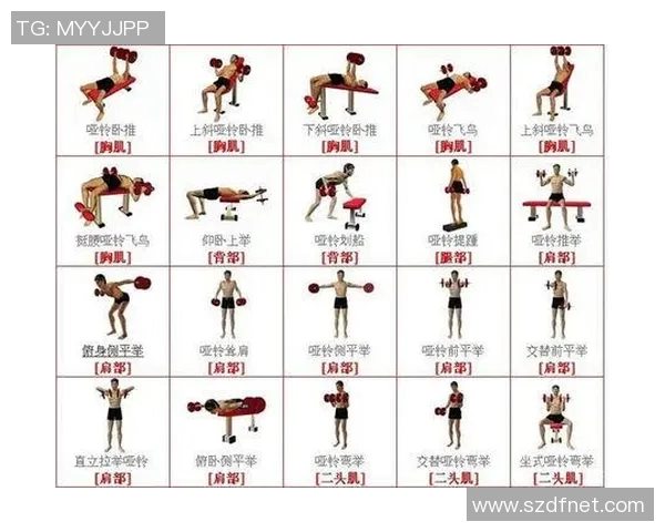 哑铃锻炼能否有效减肚子脂肪探讨与建议分享