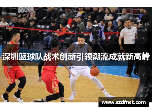 深圳篮球队战术创新引领潮流成就新高峰
