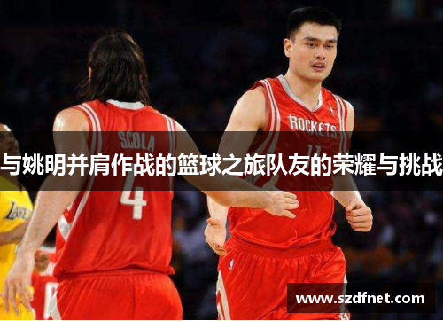 与姚明并肩作战的篮球之旅队友的荣耀与挑战