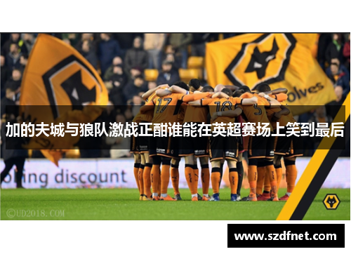 加的夫城与狼队激战正酣谁能在英超赛场上笑到最后