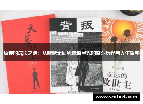 原帅的成长之路：从默默无闻到璀璨星光的奋斗历程与人生哲学