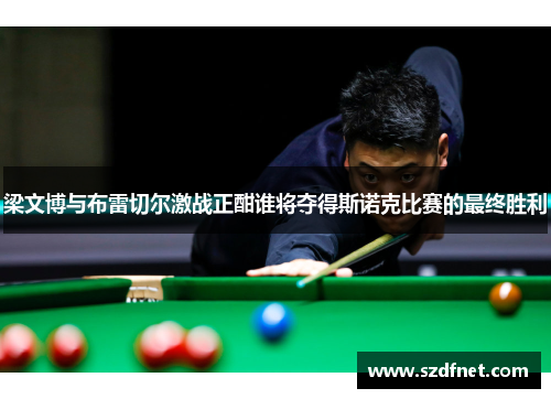 梁文博与布雷切尔激战正酣谁将夺得斯诺克比赛的最终胜利