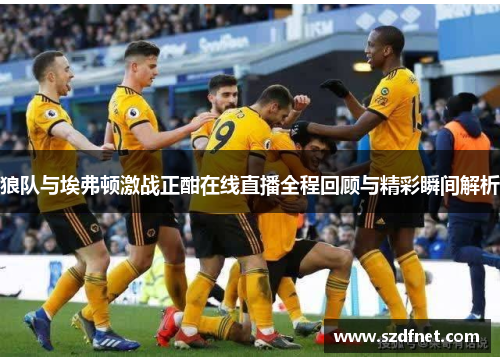 狼队与埃弗顿激战正酣在线直播全程回顾与精彩瞬间解析